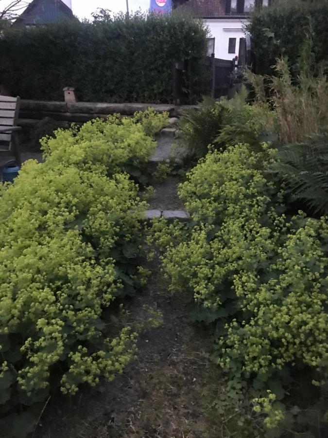Botanikerns Hus Villa Löderup Buitenkant foto